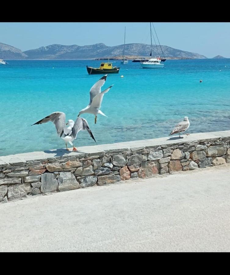 Eos - Appartement De Charme Et Confort Pour 4 Personnes Pres De La Plage Et Du Coeur De Koufonissi Koufonisia 外观 照片